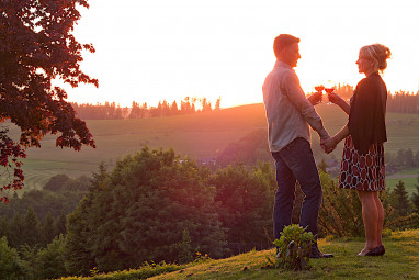 Sauerland Alpin Hotel: Sonstiges