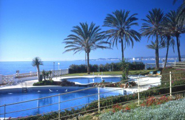 Hotel Torrequebrada: Pool