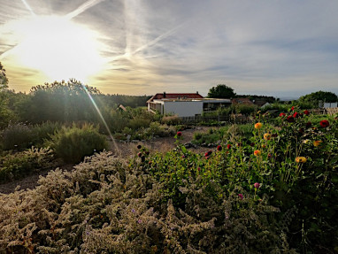 Berggasthof-Hotel Höchsten: Sonstiges