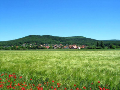 Landgasthof Büttel: Freizeit