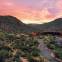 The Ritz-Carlton Dove Mountain