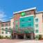 Holiday Inn Express & Suites HOUSTON S - MEDICAL CTR AREA